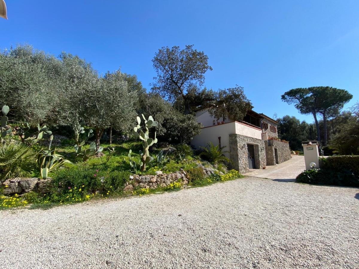Villa Paradisino Orbetello Eksteriør billede