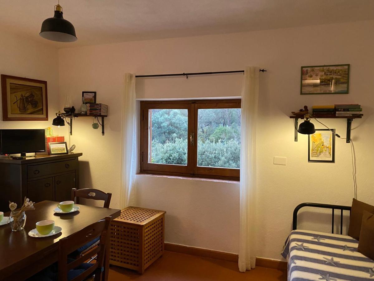 Villa Paradisino Orbetello Eksteriør billede