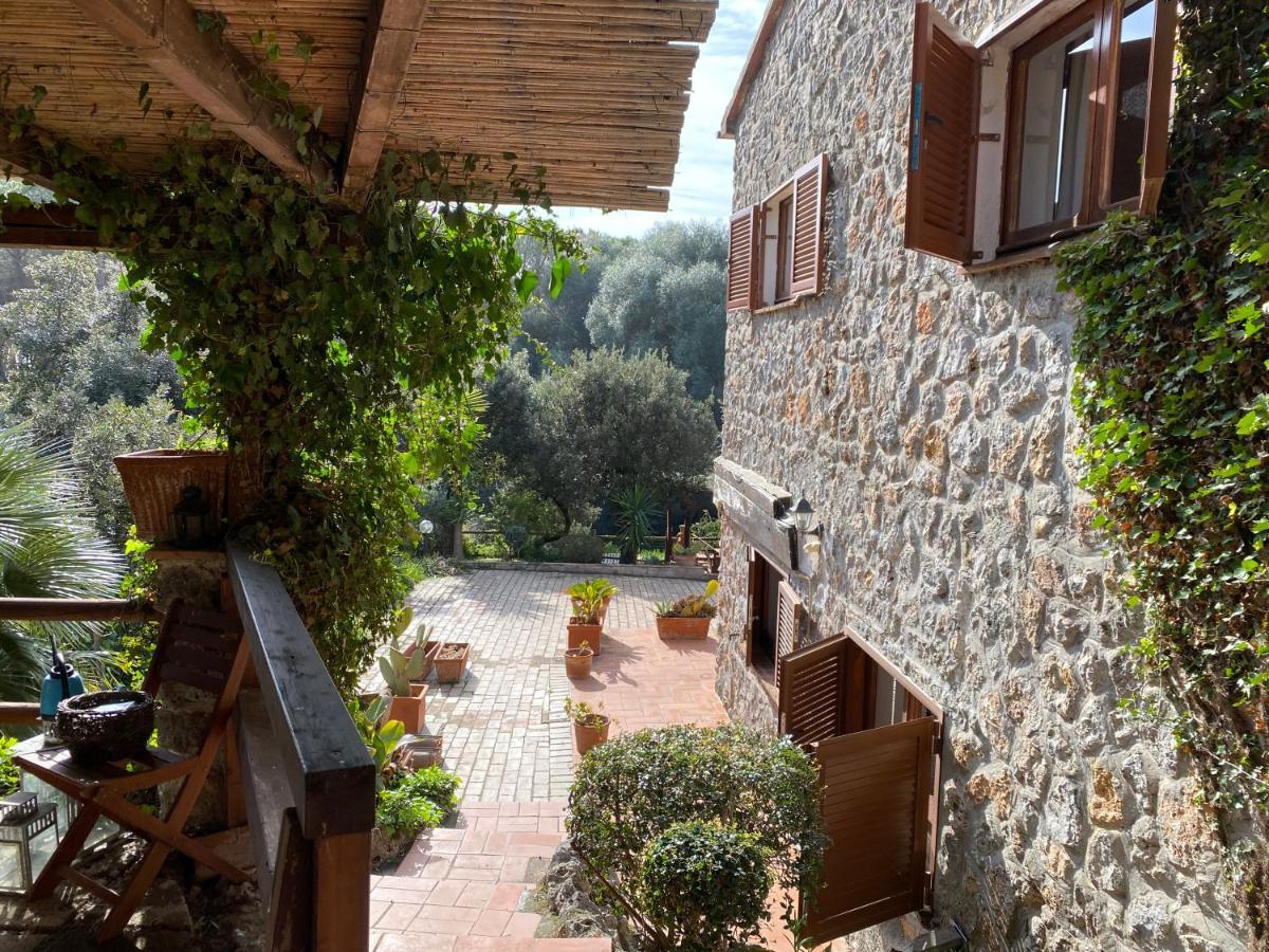 Villa Paradisino Orbetello Eksteriør billede