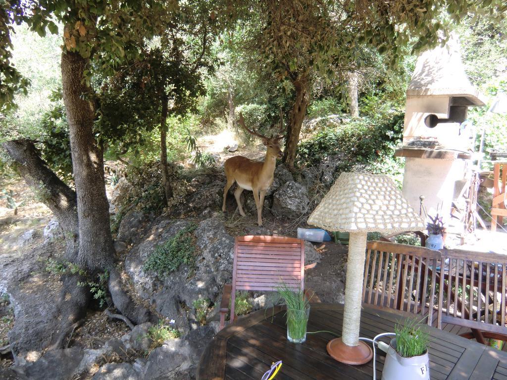 Villa Paradisino Orbetello Værelse billede