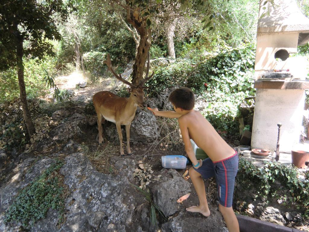 Villa Paradisino Orbetello Værelse billede