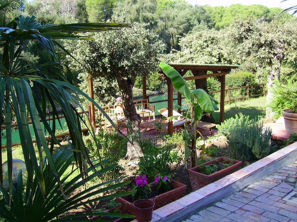 Villa Paradisino Orbetello Værelse billede