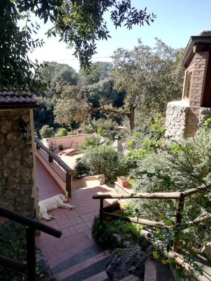 Villa Paradisino Orbetello Eksteriør billede